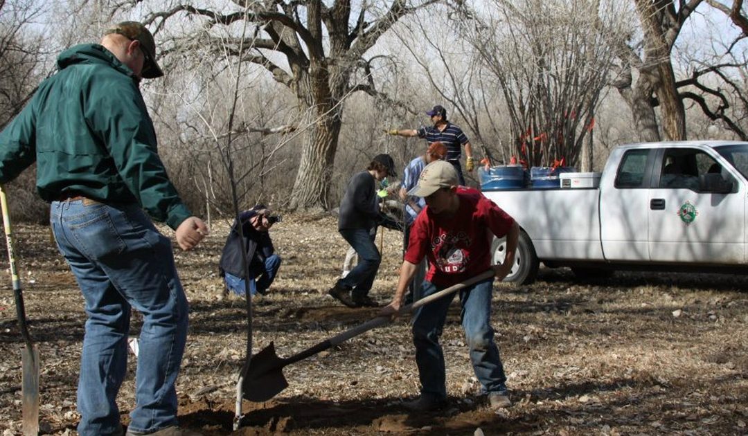 Eagle Scout Tree Planting